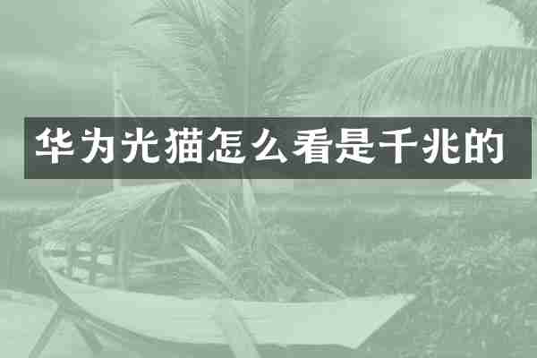 华为光猫怎么看是千兆的
