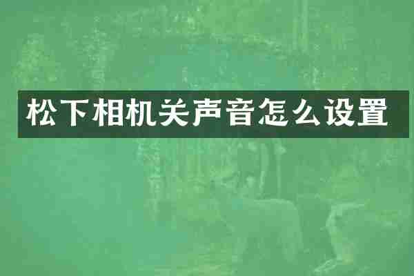 松下相机关声音怎么设置