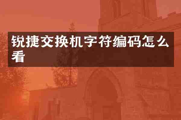 锐捷交换机字符编码怎么看