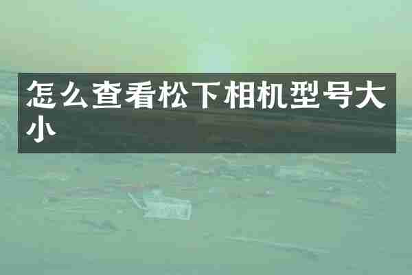怎么查看松下相机型号大小