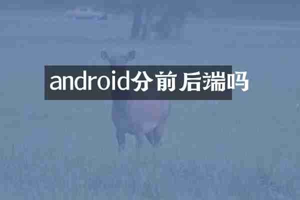 android分前后端吗