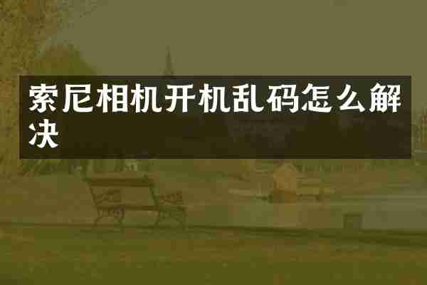 索尼相机开机乱码怎么解决
