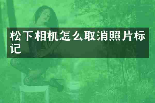 松下相机怎么取消照片标记