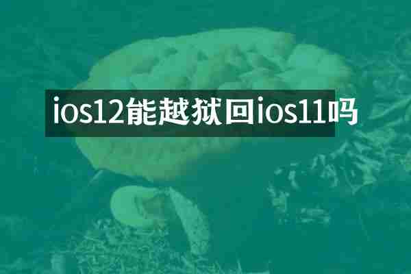 ios12能越狱回ios11吗