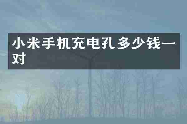 小米手机充电孔多少钱一对
