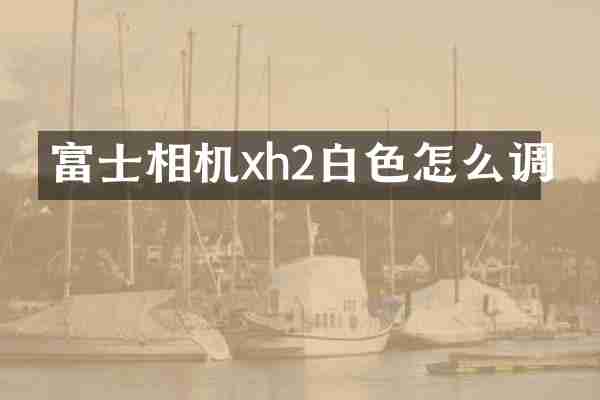 富士相机xh2白色怎么调