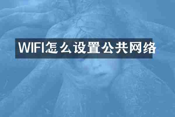 WIFI怎么设置公共网络