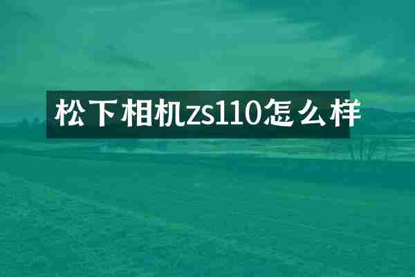 松下相机zs110怎么样