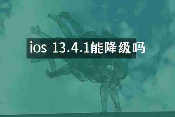 ios 13.4.1能降级吗