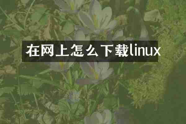 在网上怎么下载linux