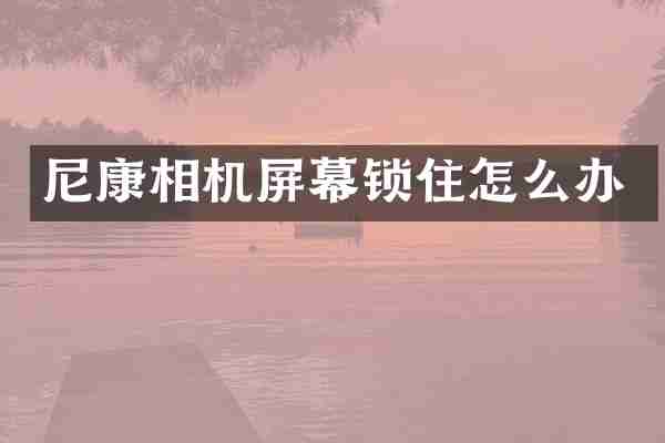 尼康相机屏幕锁住怎么办