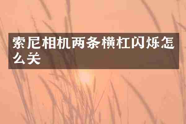 相机两条横杠闪烁怎么关
