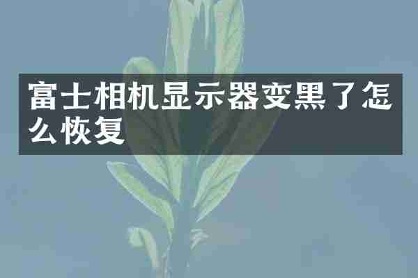 富士相机显示器变黑了怎么恢复