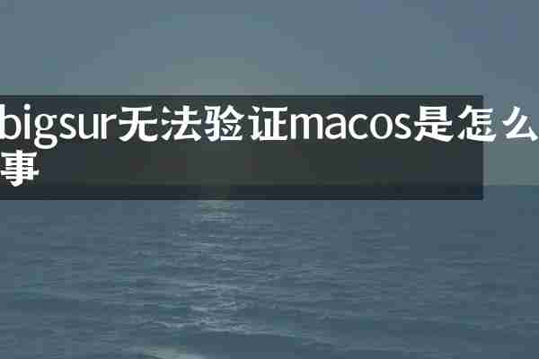 bigsur无法验证macos是怎么回事