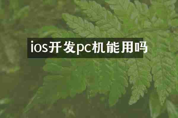 ios开发pc机能用吗