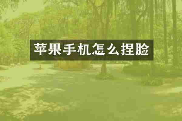 苹果手机怎么捏脸