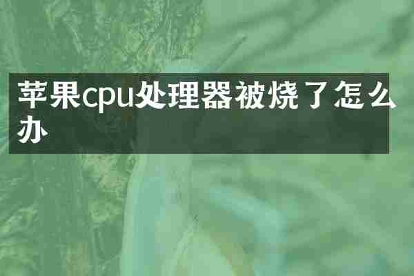 苹果cpu处理器被烧了怎么办