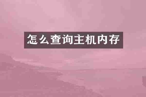怎么查询主机内存