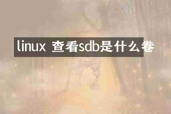 linux 查看sdb是什么卷