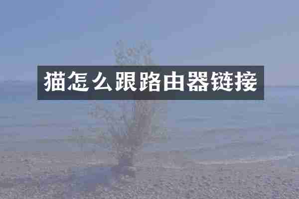 猫怎么跟路由器链接