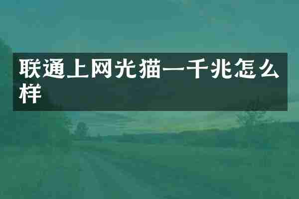 联通上网光猫一千兆怎么样