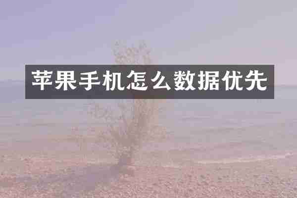 苹果手机怎么数据优先