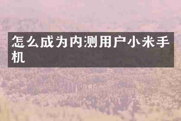 怎么成为内测用户小米手机