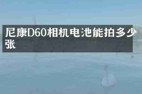 尼康D60相机电池能拍多少张