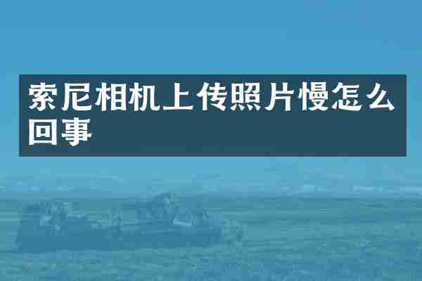 相机上传照片慢怎么回事