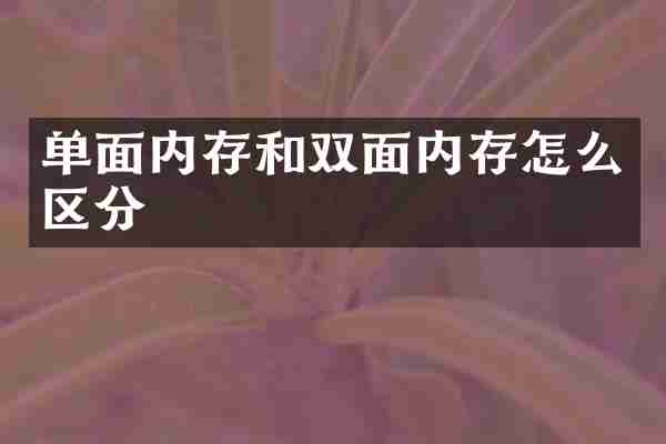 单面内存和双面内存怎么区分