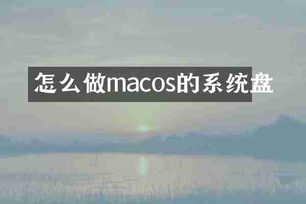 怎么做macos的系统盘