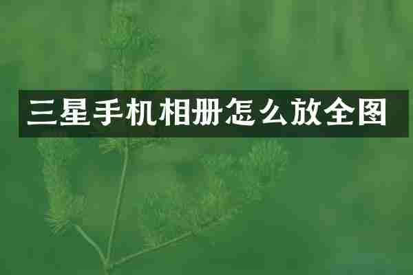 三星手机相册怎么放全图