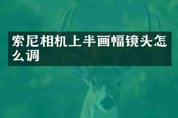 相机上半画幅镜头怎么调