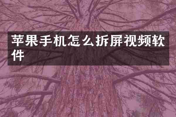 苹果手机怎么拆屏视频软件
