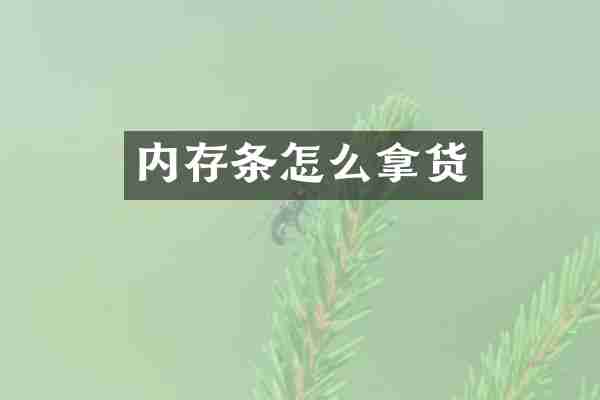 内存条怎么拿货