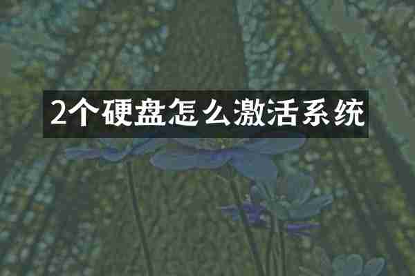 2个硬盘怎么激活系统