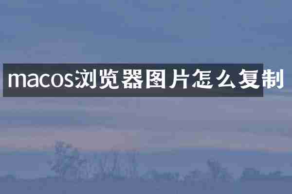 macos浏览器图片怎么复制