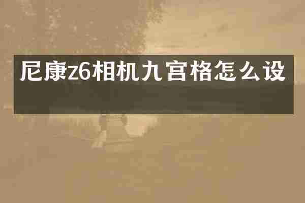 尼康z6相机九宫格怎么设置