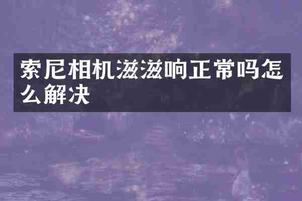 索尼相机滋滋响正常吗怎么解决