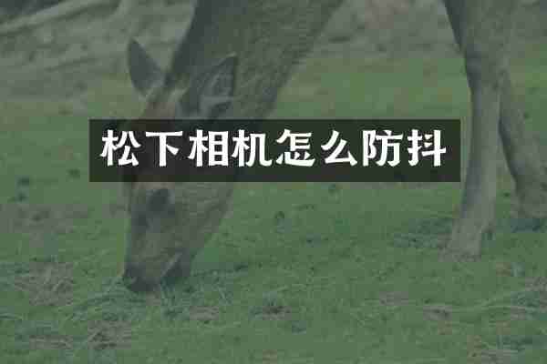 相机怎么防抖