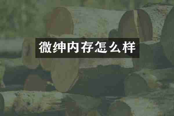 微绅内存怎么样