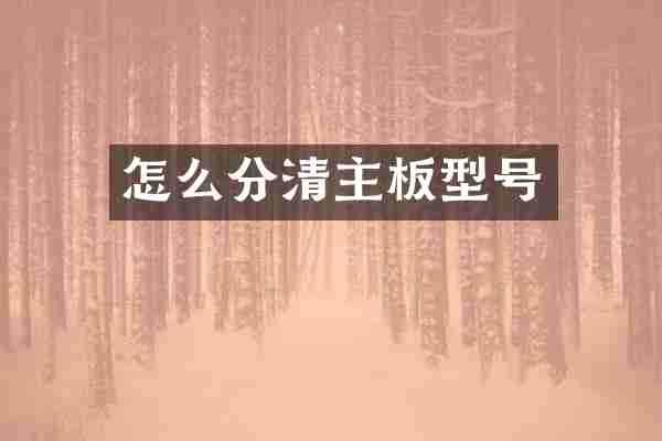 怎么分清主板型号