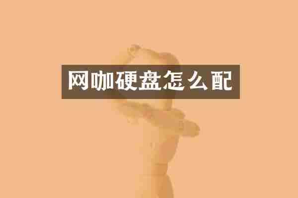 网咖硬盘怎么配