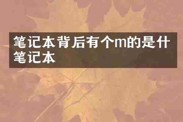 笔记本背后有个m的是什么笔记本