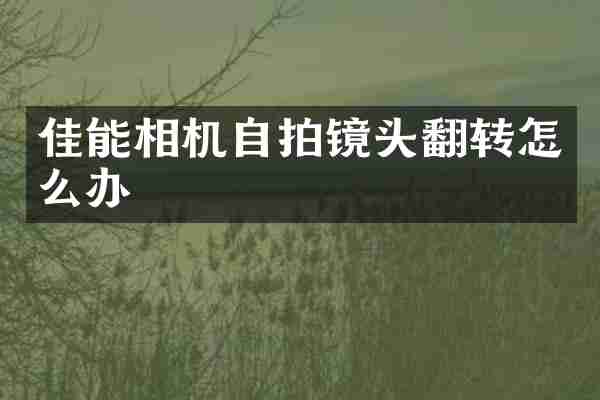 佳能相机镜头翻转怎么办