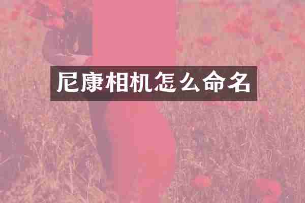 尼康相机怎么命名
