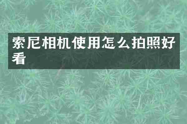 相机使用怎么拍照好看
