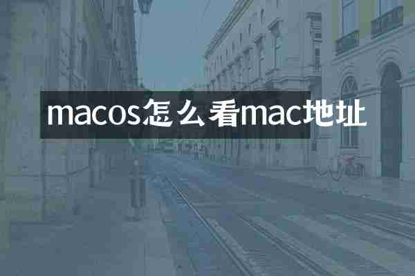 macos怎么看mac地址