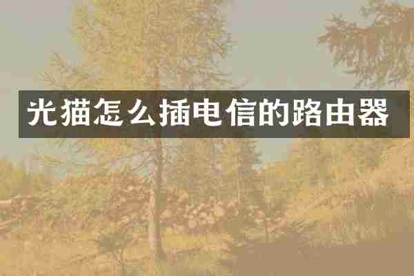 光猫怎么插电信的路由器