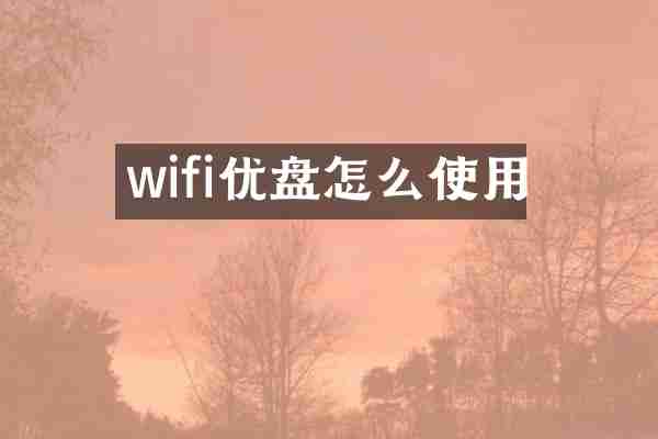 wifi优盘怎么使用